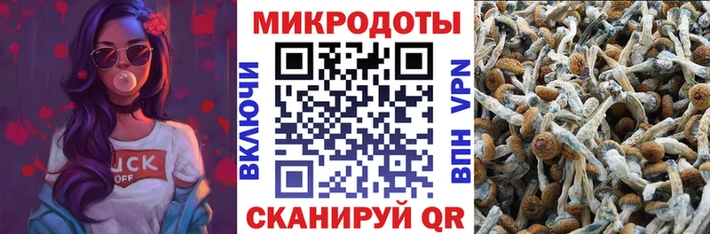 blacksprut как войти  darknet клад  Псилоцибиновые грибы прущие грибы  Стерлитамак 