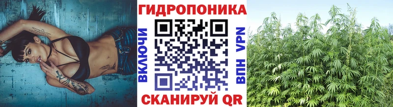 Шишки марихуана планчик Стерлитамак
